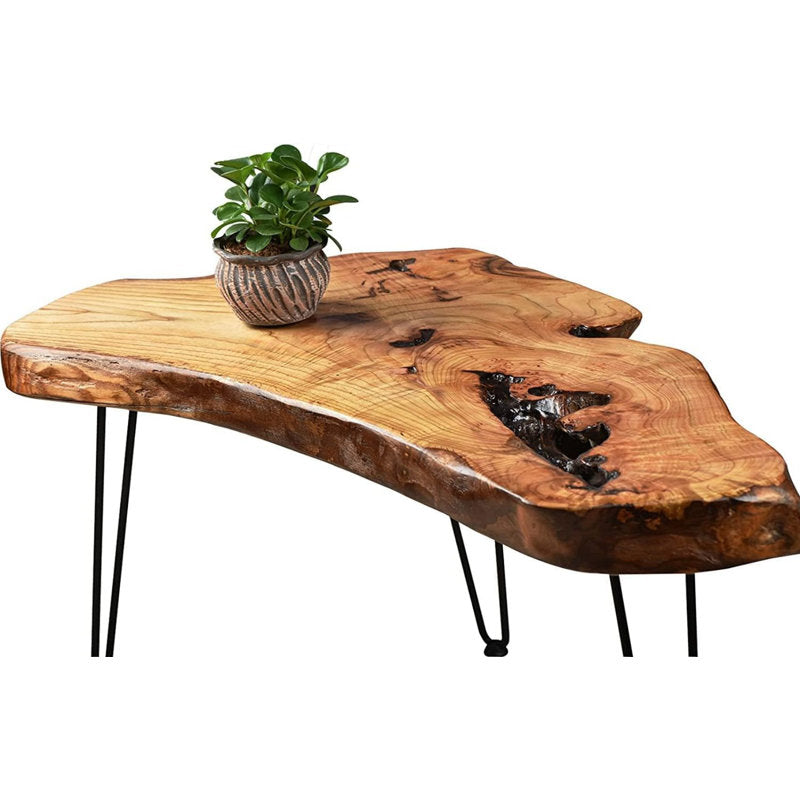 Christella - Reclaimed Camphor Wood Coffee Table Rustic Living Room